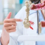Intestino saudável em 30 dias: hábitos que recuperam a flora