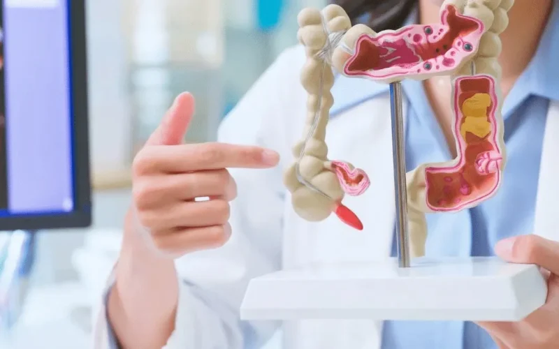 Intestino saudável em 30 dias: hábitos que recuperam a flora